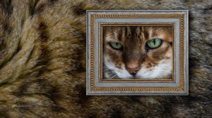 Framed